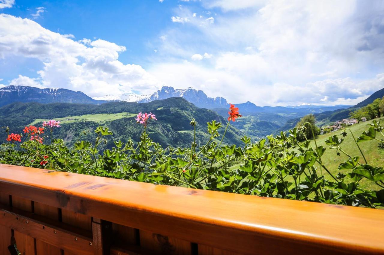 Apartamento Oberpalwitterhof Barbiano  Exterior foto